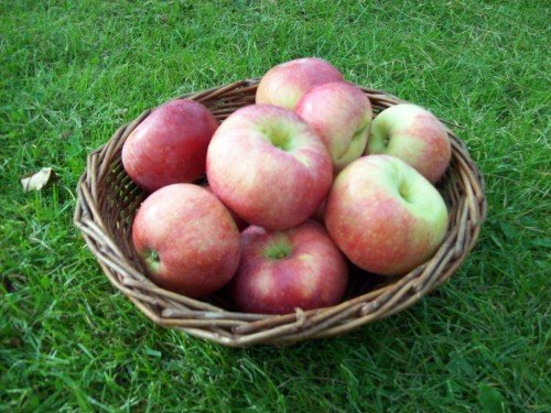 Яблоки в корзине