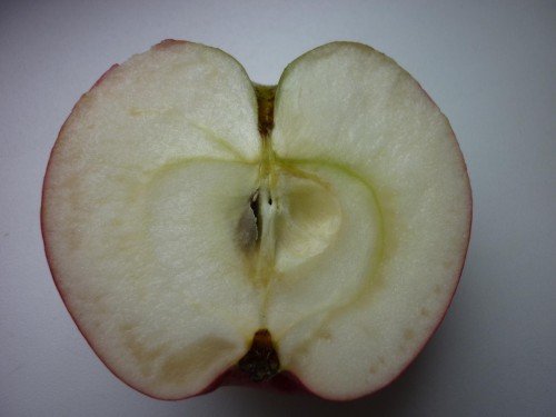 Яблоко сорта Звёздочка в разрезе