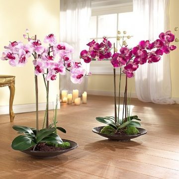 На фото: единую цельную композицию составят орхидеи одного цвета разной насыщенности.