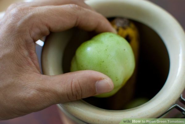 Green-Tomatoes