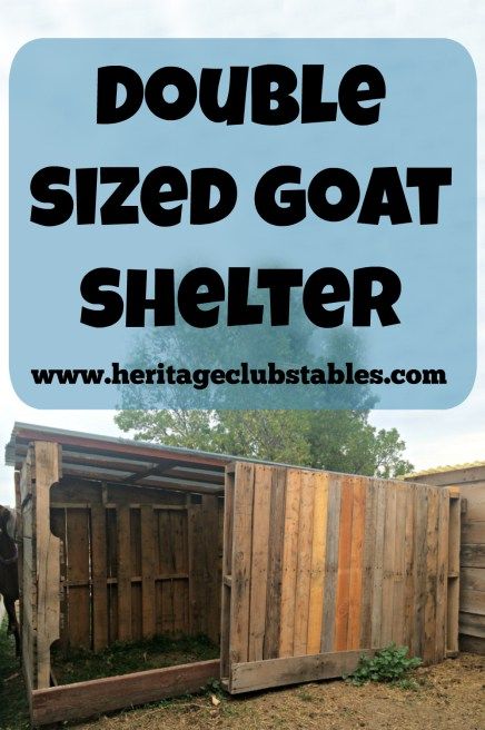 large_goat_shed
