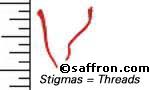 saffron_threads_measure