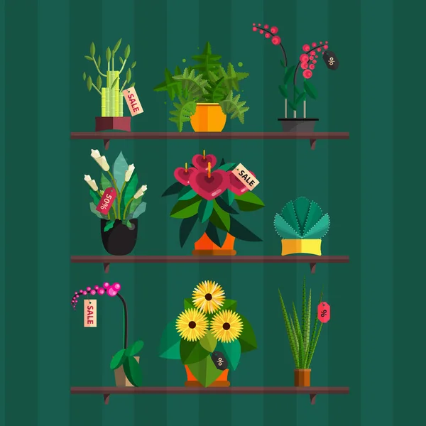 Illustration of houseplants, indoor and office plants in pot. Dracaena, fern, bamboo, spathyfyllium, orchids, Calla lily, aloe vera, gerbera, snake plant, anthuriums. Flat plants, vector icon set Royalty Free Stock Vectors