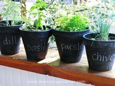 Herb chalkboard paint pot labels 