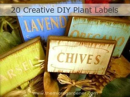 20 Creative DIY ideas for DIY plant labels and markers 