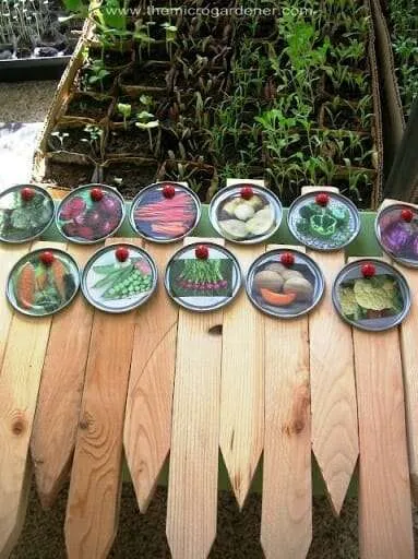 Lid plant markers 