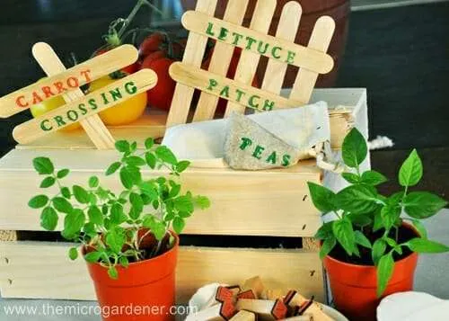 Popsicle stick & painted letters plant labels 