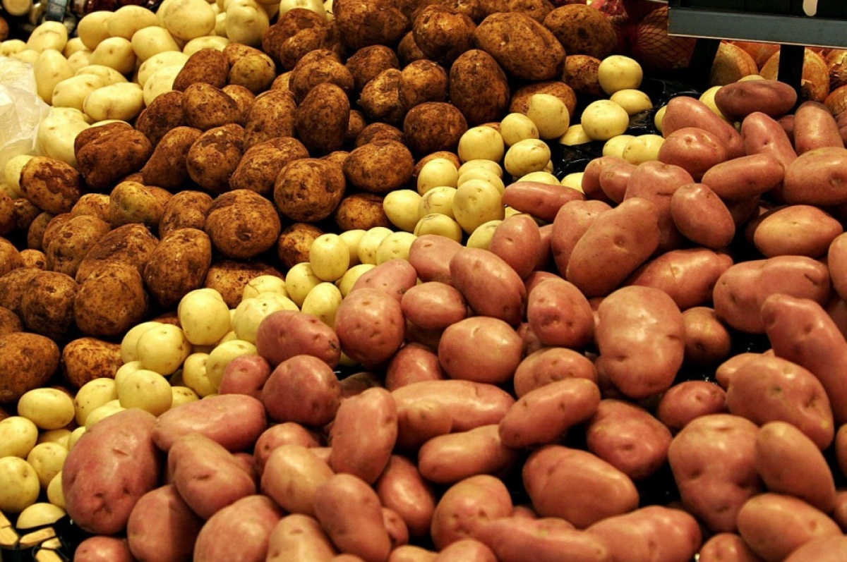 удобрения для картофеля 