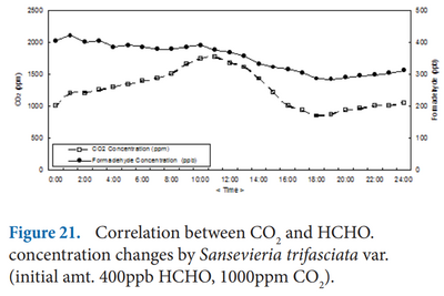 Изменение уровня CO2 и формальдегидов Сансевиерией в течение суток