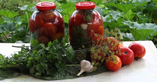 Засолка помидоров на зиму холодным способом - оригинальные идеи приготовления вкусной заготовки
