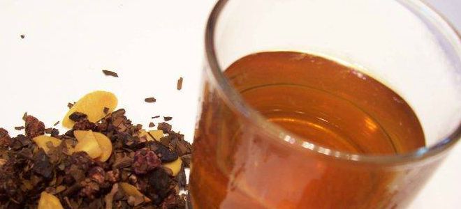 настойка пиона для мужчин настойка пиона для мужчин