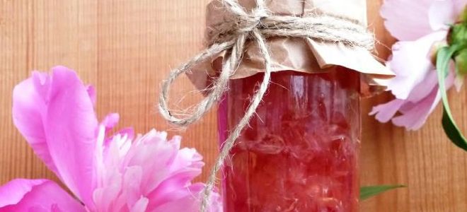 настойка пиона от бессонницы настойка пиона от бессонницы