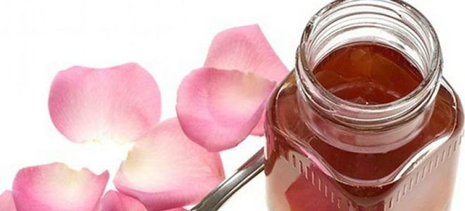 настойка пиона при мастопатии настойка пиона при мастопатии