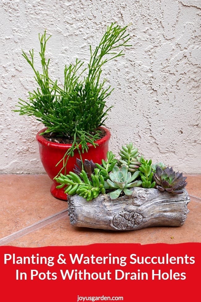 A red small pot planted with succulents, next to it there