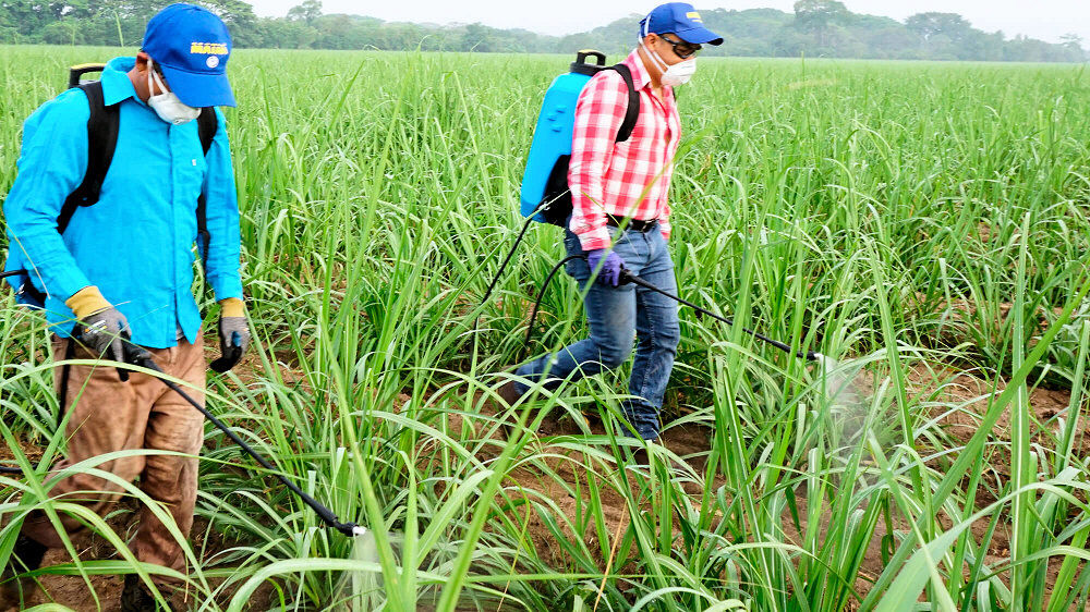 Matabi LTCS Electric Knapsack Sprayer 20 Litre / 18v