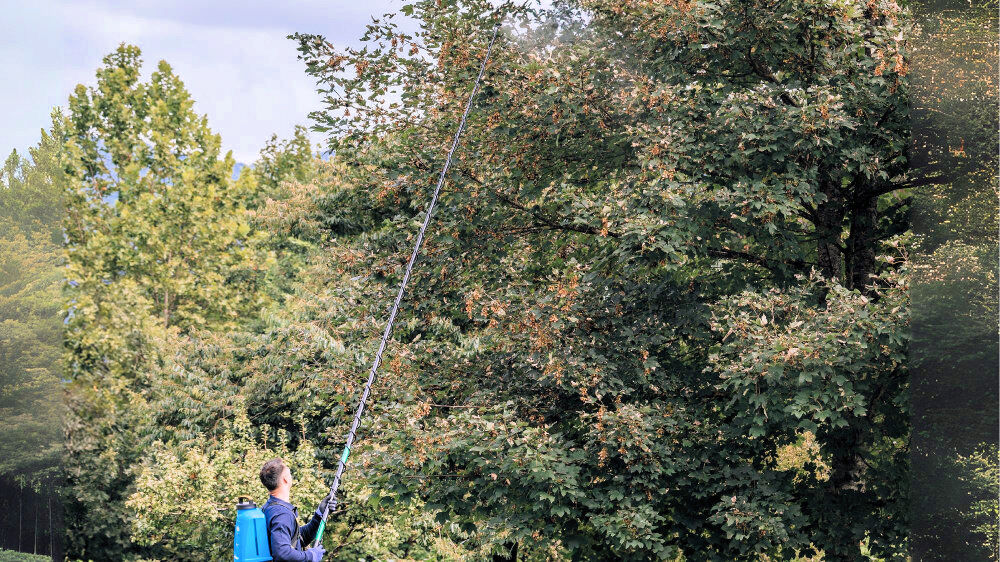 Matabi 5.4 Meter Telescopic Lance