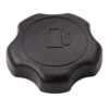 Briggs And Stratton Cap-Fuel Tank 795027