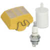 Service Kit for Husqvarna 365 (20in)