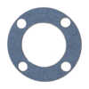 Ambrogio Gasket Guarnizione L25Z05700A