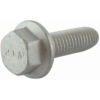 112735599/0 SELF-TAPPING SCREW M6 x 16 Thumbnail 1