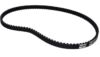 1134-9198-02 TOOTHED BELT 95C   PARK 95  was 35061513/0 Thumbnail 1