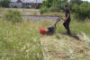 Sherpa Stella Roughcutter Drum Mower 2005316SPE-225 Thumbnail 3 Sherpa Stella Roughcutter Drum Mower 2005316SPE-225 Thumbnail 3