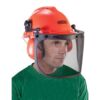 Oregon Yukon Safety Forestry Helmet Combination Set (Zero Rated VAT) Thumbnail 3 Oregon Yukon Safety Forestry Helmet Combination Set (Zero Rated VAT) Thumbnail 3
