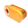 Briggs & Stratton Air Filter Cartridge 795066 Thumbnail 1