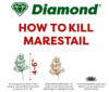 Diamond Horse Tail Total Weed Control 1L Thumbnail 2 Diamond Horse Tail Total Weed Control 1L Thumbnail 2