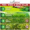 NutriGrow Weed, Feed & Moss Killer  Granular Fertiliser  20kg Thumbnail 2