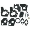 Briggs And Stratton Carburettor Overhaul Kit 495606 Thumbnail 1