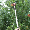 Darlac Telescopic Fruit Grabber Thumbnail 3