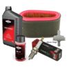 Mountfield Stiga Atco Ride-On Service Kit TRE0701 TRE0801 Series Thumbnail 1