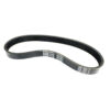 Webb Belt WE135-X6360940002R Thumbnail 1