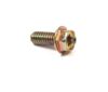 Briggs and Stratton Screw 690810 Thumbnail 1