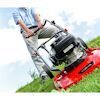 Cobra Petrol Hover Mowers