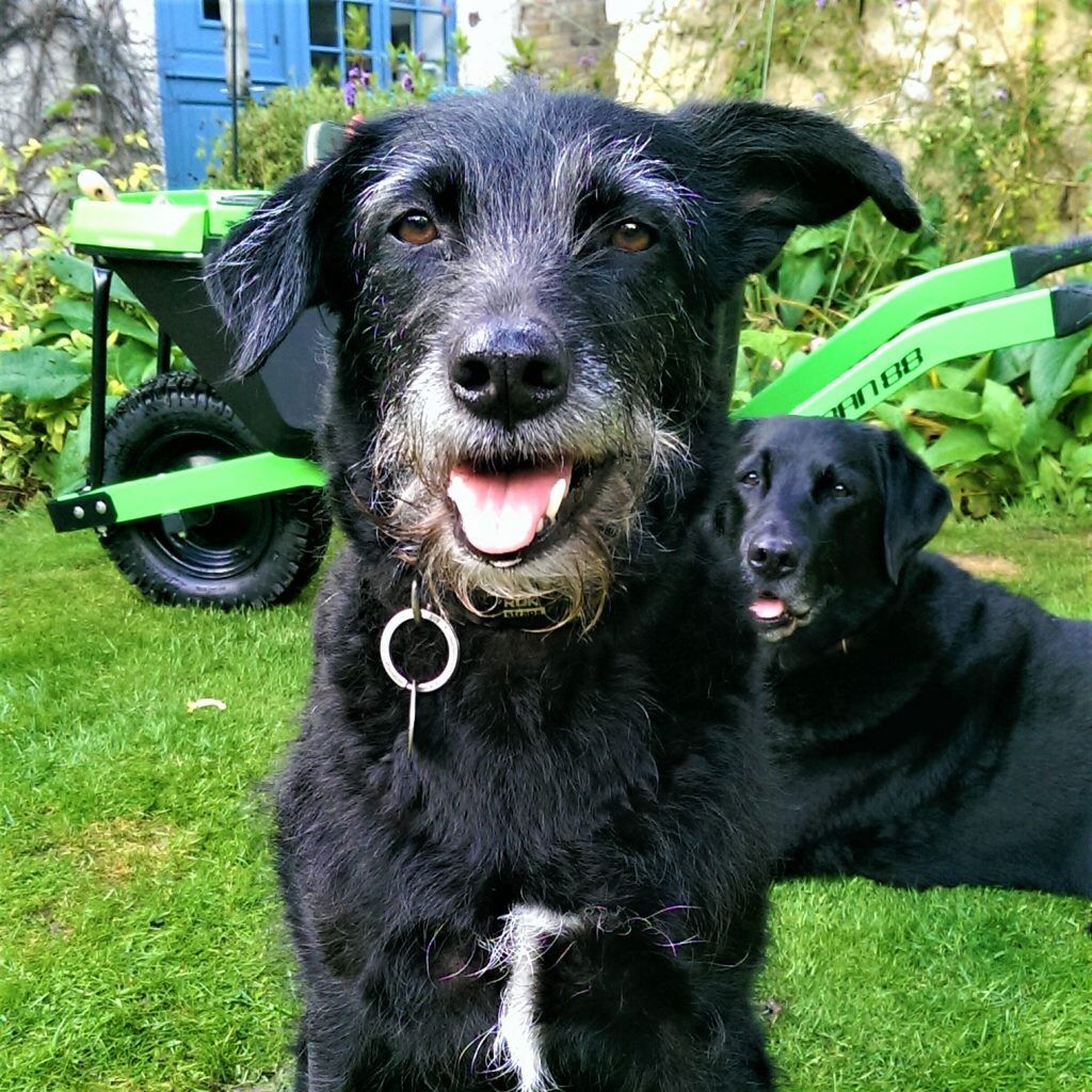 Happy New Year Everyone! Happy New Year Everyone!