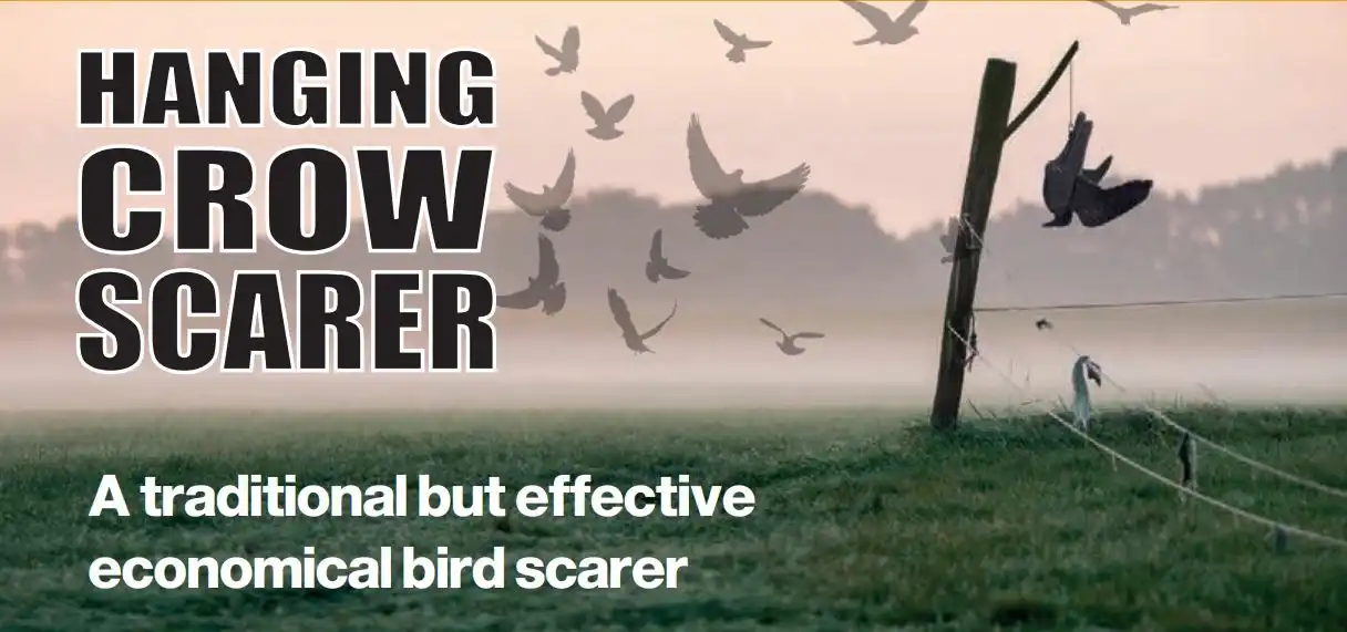 Portek Hanging Crow Bird Scarer from Mower Magic Portek Hanging Crow Bird Scarer from Mower Magic