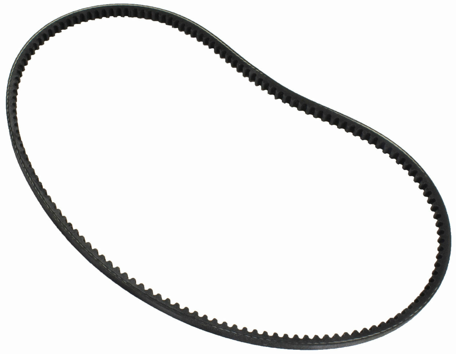 Qualcast / Suffolk Punch / Atco Toothed Drive Belt for Petrol Cylinder Mowers  F016A57940  /  F016A58728