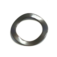 Ambrogio Washer Rondella C00616 Single Item Ambrogio Washer Rondella C00616 Single Item