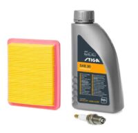 Mountfield Stiga Engine Service Kit - Stiga  GGP WBE120 / 140 / ST WBE170 / ST WBE170 LS 1111-9289-01