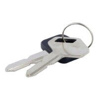 118210023/0  Set of 2 Ignition Keys for Ride-On