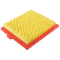 GGP / Castlegarden / Mountfield Air Filter RM45, SV150, RV150 18550147/0