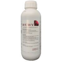 Ruby - Sticking AgentApplication Improver 1L