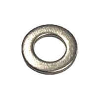 Ambrogio Washer Rondella C01759 Ambrogio Washer Rondella C01759