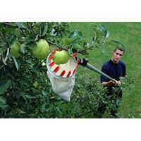 Darlac Swop-Top Telescopic Pole for Pruner (3 section) - 5m