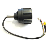 Luba 2 X Wheel Hub Motor (Front) Luba 2 X Wheel Hub Motor (Front)