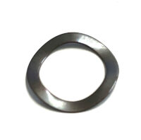 Ambrogio Washer Rondella C00616 Single Item Ambrogio Washer Rondella C00616 Single Item