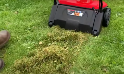 When To Scarify Your Lawn When To Scarify Your Lawn