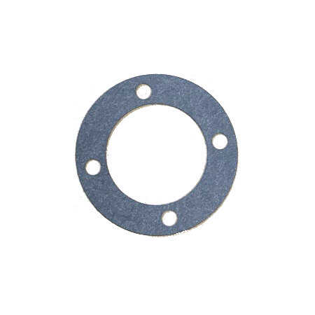 Ambrogio Gasket Guarnizione 015Z14700A